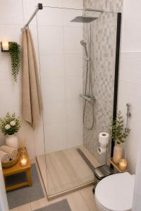 a shower stall in a bathroom with a toilet at Charm Apartment-Cathedral area-Self Check-in in Sarajevo