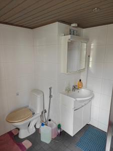 a small bathroom with a toilet and a sink at Ranta mökki in Kouvola