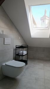 a bathroom with a white toilet and a skylight at Dvorek110 in Roudnice nad Labem
