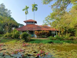 a house with a pond and a palm tree at Golden Snapper Guest House in Yan
