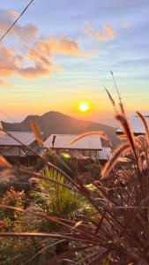 a sunset over a mountain with buildings and plants at มองวิวภูชี้ฟ้า รีสอร์ท in Ban Seng Choi