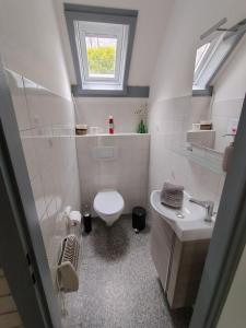 a bathroom with a toilet and a sink and a window at Seeparkurlaub, Hessen in Kirchheim
