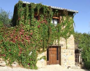 a building with a bunch of apples growing on it at Casas Rurales Casas en Batuecas in Villanueva del Conde
