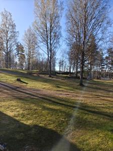 a field of grass with trees in the background at Aitta majoitus in Kouvola