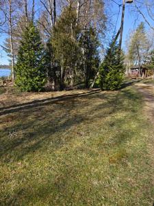a shadow of a tree on a grass field at Aitta majoitus in Kouvola
