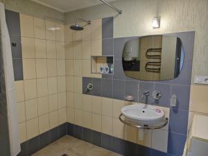 a bathroom with a sink and a mirror at Līgatne Forest View Apartament in Skalupji +16 photos
