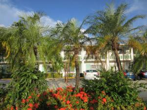 a group of palm trees and flowers in front of a building at Shalimar Motel in Miami