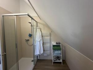 a bathroom with a walk in shower next to a staircase at Wohnung Epprechtstein Seeperle Weißenstadt in Weißenstadt