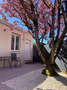 a tree with pink flowers in front of a house at Chez Raphaël et Hiba in Nesles