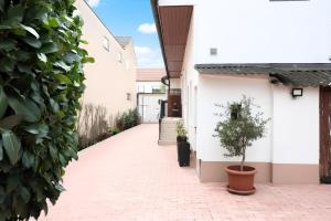 a courtyard of a house with a potted plant at Appartementhaus Ludwig in Mörbisch am See