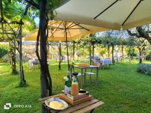 ein Tisch mit einem Sonnenschirm und einem Teller Essen in der Unterkunft Badia Giulia Prestigious Historical B&B, Camaiore - Adults Only - No Pets in Camaiore