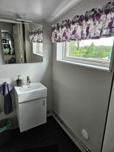 a bathroom with a sink and a window at Klevenius in Gnesta