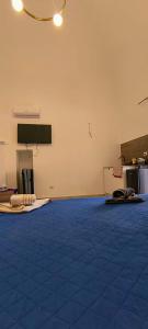 an empty room with a blue carpeted floor and a classroom at Alighieri Rooms in Triggiano