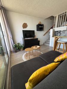 a living room with a couch and a television at Duplex vue mer et accès plage in Arcachon