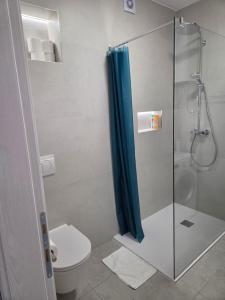 a bathroom with a toilet and a glass shower at Apartment Jakov i Lucija - Sea View Terrace & FREE PARKING in Dubrovnik +48 photos