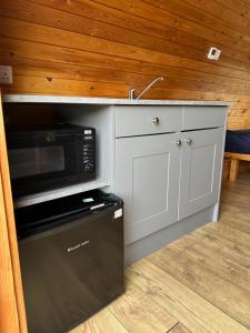 a kitchen with a microwave and a stove at Rexes Hollow Camping in Yeovil Junction