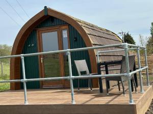 a small green building with a deck with a door at Rexes Hollow Camping in Yeovil Junction
