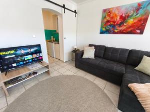 a living room with a couch and a flat screen tv at Apartment Julia in Bad Orb