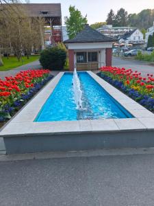 a fountain in the middle of a garden with flowers at Apartment Julia in Bad Orb
