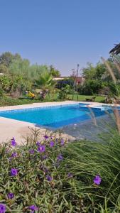 a blue swimming pool with purple flowers in the foreground at Oasis Rest ae in Madīnat an Nahḑah