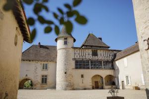 a castle with a lighthouse in front of it at Château du Mas de l'Âge in Couzeix