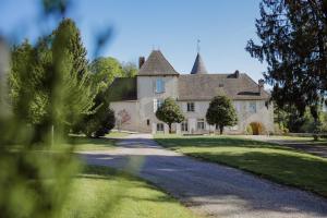 a large house with a driveway in front of it at Château du Mas de l'Âge in Couzeix