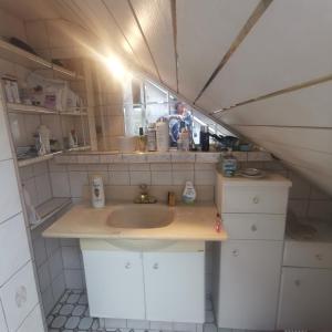 a bathroom with a sink and a mirror at FEWO Radebeul Am Waldrand Spittelholz in Radebeul +11 photos