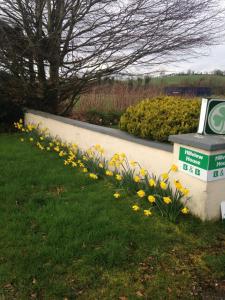a bunch of flowers in the grass next to a sign at Hillview House in Cootehill