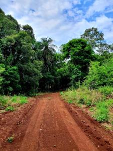a dirt road in the middle of a forest at RadiX MISIONES in Puerto Leoni