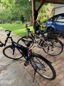 two bikes parked next to each other on a driveway at Bambuszkert in Kisoroszi +10 photos