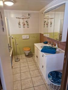 a bathroom with a sink and a toilet at gîte de Véreuges in Saint-Julien-des-Chazes +30 photos