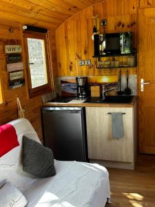 a kitchen with a stove and a sink in a cabin at La Roulotte du Maine SAINTES in Saintes