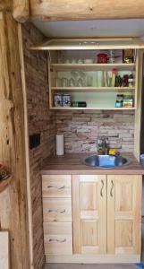 a bathroom with a sink in a tiny house at Brvnara Floridita u prirodi - blizu Manastira Tavna in Ugljevik