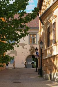a cobblestone street in front of a building at Central Pécs Bea&Tom in Pécs