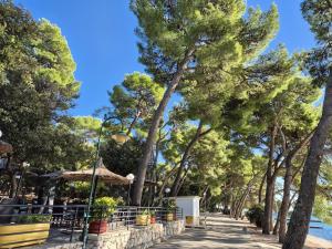 a sidewalk lined with trees and a street at ESTRADA MOBILE HoME in Biograd na Moru