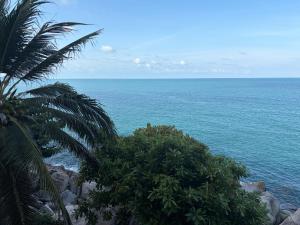 a view of the ocean from a beach with a palm tree at Noahs Ark Beach in Nathon Bay