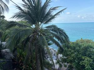 a palm tree on the side of the ocean at Noahs Ark Beach in Nathon Bay