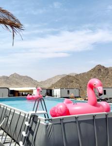 a pool with pink inflatable flamingos on top of it at The Out Resort in Sinādil