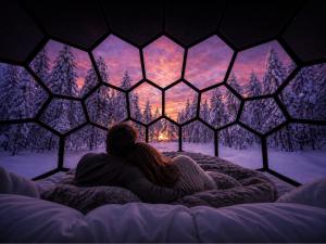 a couple sitting on a bed looking out a window at a snow covered forest at SKOG Aurora Glass Igloos in Kalix