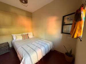 a bedroom with a bed and a plant in it at Tilcara Mistica Hostel in Tilcara