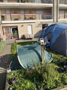 a blue tent in a garden next to a building at Groene tent voor 2 personen, 1 km van tomorrowland in Boom