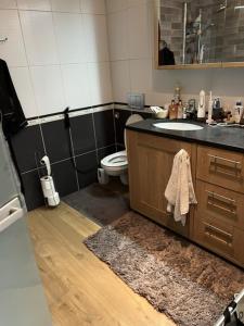 a bathroom with a sink and a toilet at Groene tent voor 2 personen, 1 km van tomorrowland in Boom +2 photos