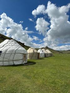 a row of tents in a field of grass at Azamat Nomad Camp in Song-Kul
