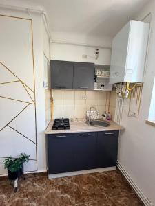 a small kitchen with a sink and a stove at Apartament Iasmina 2 in Petroşani