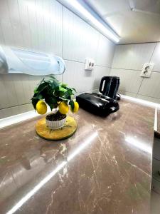 a bathroom with a chair and a plant on a counter at Ohrid Demarko Apartment in Ohrid