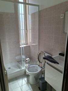 a bathroom with a toilet and a shower at Le Café D Ici in Saillat-sur-Vienne