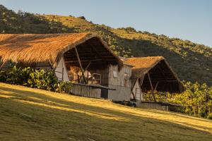 two huts with thatched roofs on a grass field at Glamping at Kalumo Lodge - Tent 1 in Oslob