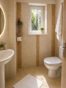 a bathroom with a toilet and a sink and a window at Zlatý Sloup in Karlovy Vary +54 photos