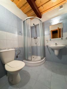 a bathroom with a shower and a toilet and a sink at Drevenica u Starona in Liptovská Kokava +82 photos