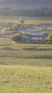 a herd of animals grazing in a field with a barn at Tumar in Saty